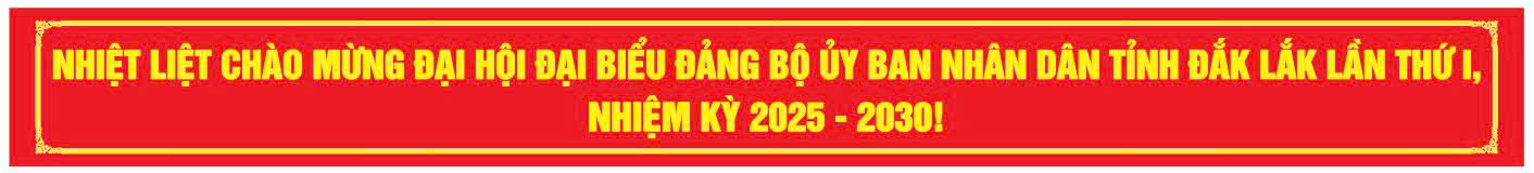 dangbo2025